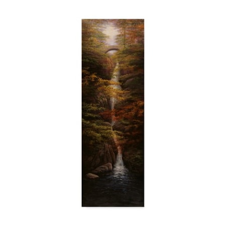 Bill Makinson 'Fall Waterfall' Canvas Art,6x19